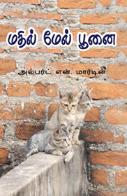 cat on the wall
